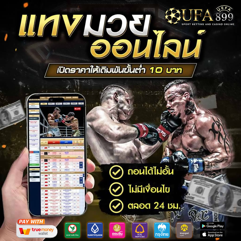 seo优化按天收费